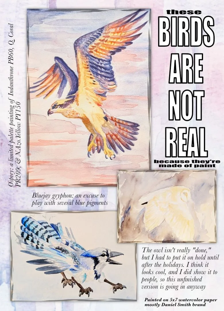 Back cover: “These birds are not real because they’re made of paint”: watercolor paintings of an osprey in flight, a blue jay gryphon and an unfinished owl, painted on 5×7 watercolor paper.